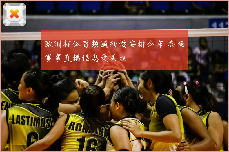 欧洲杯体育频道转播安排公布 各场赛事直播信息受关注