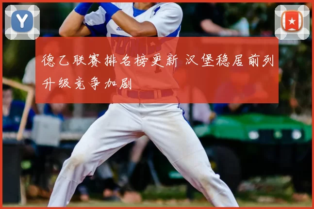 德乙联赛排名榜更新 汉堡稳居前列升级竞争加剧