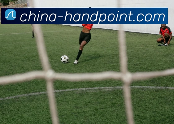 乐鱼官方体育appapp - 官方正版APP 体育赛事宣传图